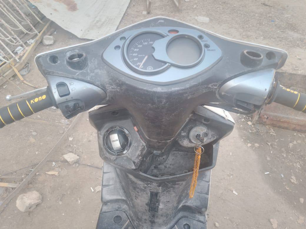 سكنس فحل ياباني للبيع عنوان بغداد الدوره السعر 750 مجال بسيط للاتصال ***********
