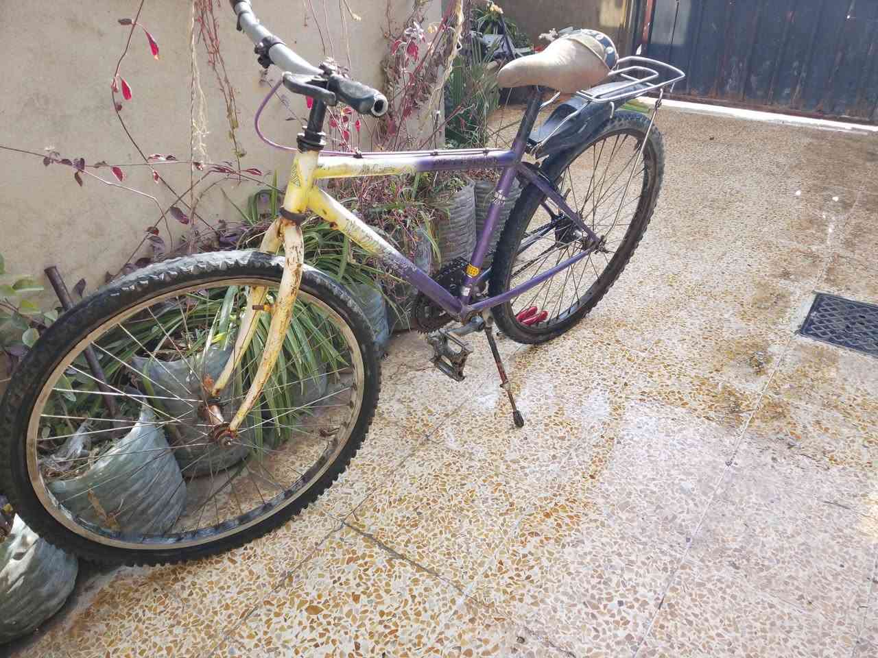 السلام عليكم بايسكل نظيف سعره 40 بي مجال مكاني سومر رقم الموبايل ***********
