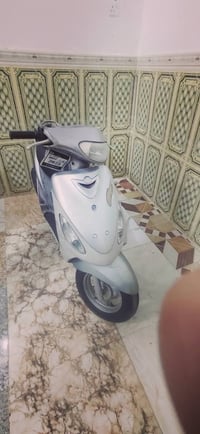 ماكس منغولي • ٥٠ • شغاله