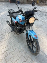 شايننك • سمائي 2025 • اوراق سكنر