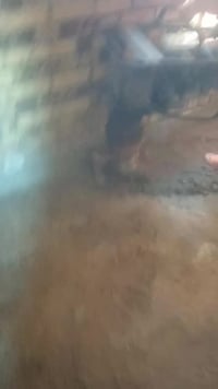 مكتب السنبله لتاجير الحادلات حدل البيوت والعمل مع المقاولين ودوائر الد...