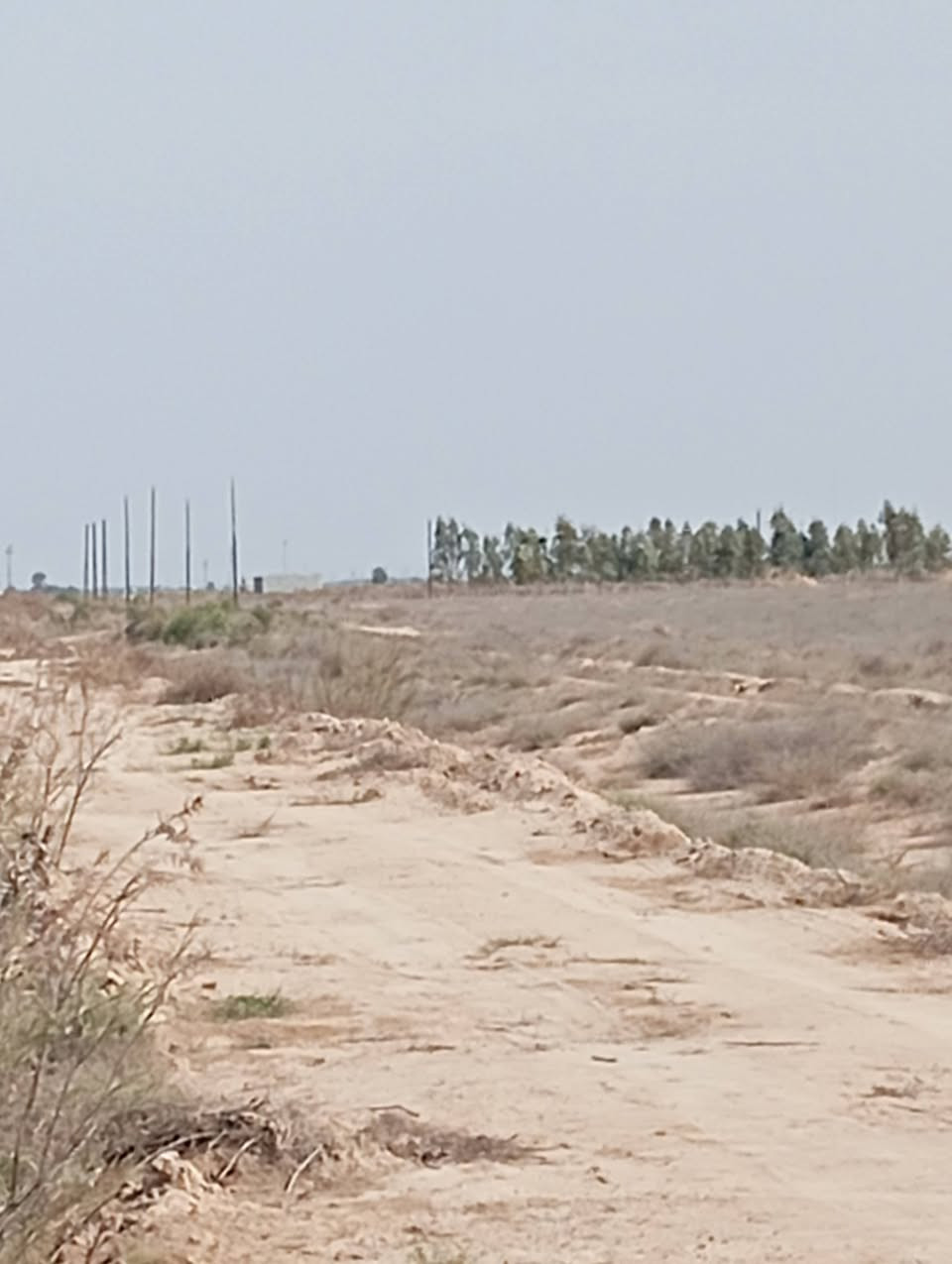 اعلان 2دؤانم ملك صرف أمام المحسن ***********
