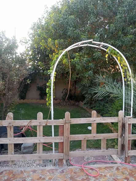 السلام عليكم
بيت للبيع
حي الحكيم شارع عطوف
٣٠٠ متر
بناء مرتب الأرضي غرفتين +صاله+مطبخ+استقبال+
طابق الثاني غرفه + بيتونه
حديقه وطارمه جبيره
مرقم بلديه انترنت ضوئي خدمات كامله
السعر ٦٥ وبي مجال

#مكتب #عقارات #جعفرالگشاوي لبيع وشراء الدور والأراضي
والعقارات التجاريه
والدوانم الزراعيه
الملك صرف + الزراعي+
للأعلان عن عقارك التواصل عبر الخاص او الأتصال
على الأرقام التاليه
للأستفسار***********
***********.......
