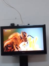 للبيع بلازما شاشه حجم 32 سعر 55الف بي مجال بدون نيت شاشه ال جي 👍077547...