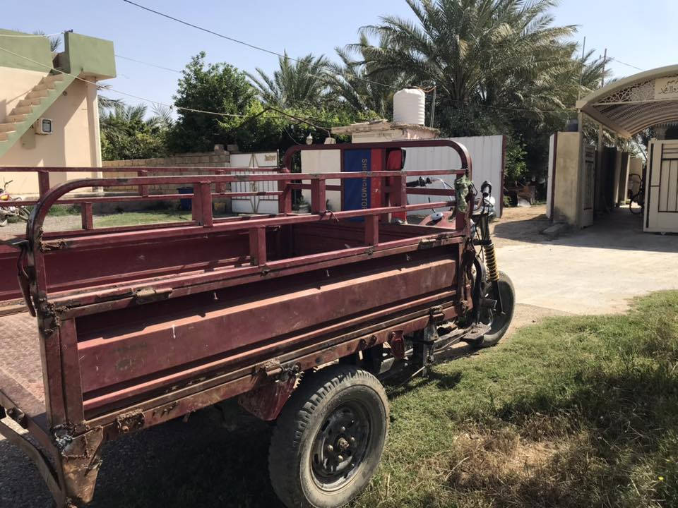ستوتة للبيع شهربان سعر ٤٥٠ وبيه مجال ***********
