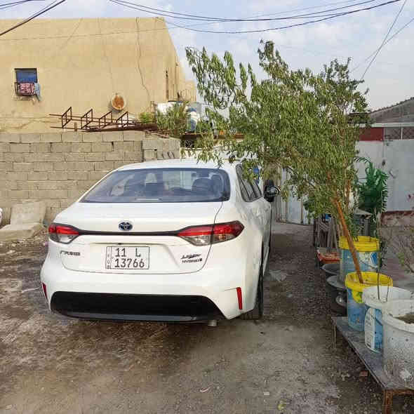 السلام عليكم كورلا ٢٠٢٣هايبرد علامة الزكة شكل الأمريكي ماشية ٥٠ كير محرك ع شركة فول مواصفات جاهزة بدون نقص باسمي بدون صبغ طخة بارد بيهة بل باب فقط السعر ١٤٠ مكاني بغداد حي العامل *********** بغداد
