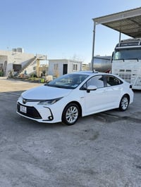 كورلا ٢٠٢٥ • شكل خليجي • كفالة