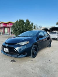 كورلا SE • ٢٠١٩ • رقم بابل