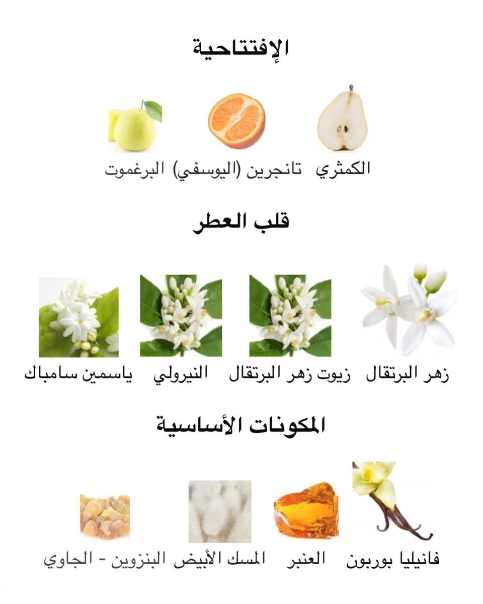 ️جديد فينوس سنتر عطور عالية الجودة 💯

✅ عطر كلام نواعم النسائي الراقي يجمع بين  الأنوثة والنعومة في توليفة فاخرة تناسب المرأة الواثقة من نفسها..
من دار المسك التي تقدم عطورًا بلمسة شرقية عصرية وأناقة ملفتة..
يتوفر تيستر للتجربة.


**إذا كنت صاحب هذا الإعلان وتريد حذفه لأي سبب، رجاءا أرسل رسالة إلى الدعم الفني**