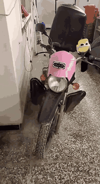 مراوس بدايون***********
