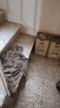 السلام عليكم دار للبيع المساحه 585 عواشه قرب شارع النادي اول فرع البيت يحتوي على 4 غرف اثنين بطابق الأرضي واثنين فوك حديقه جبيره تعتبر قطعه كامله كلشي موضح بالفيديو للاستفسار الاتصال على ***********
