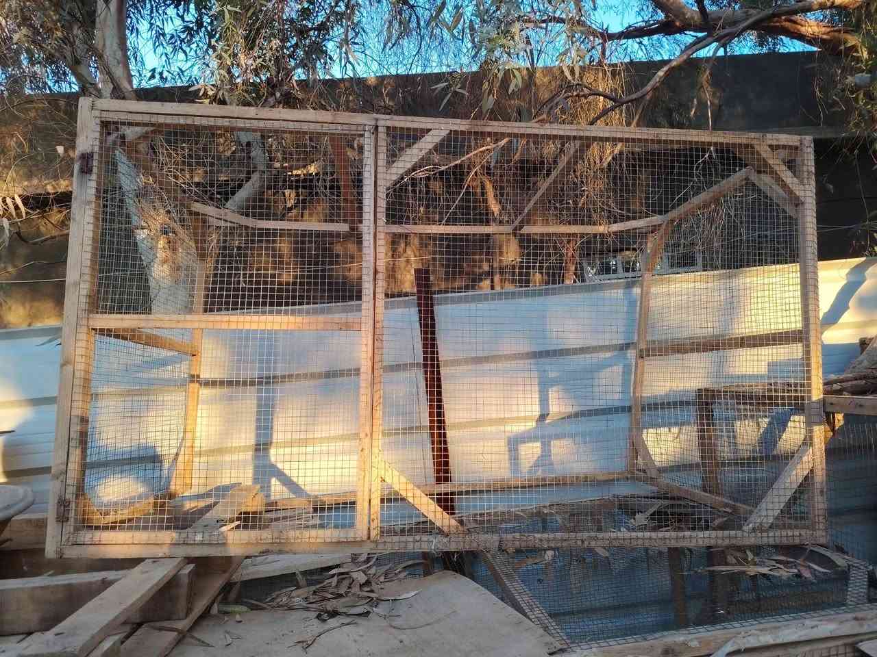 متوفر اقفااص لل بيع 
***********
***********
