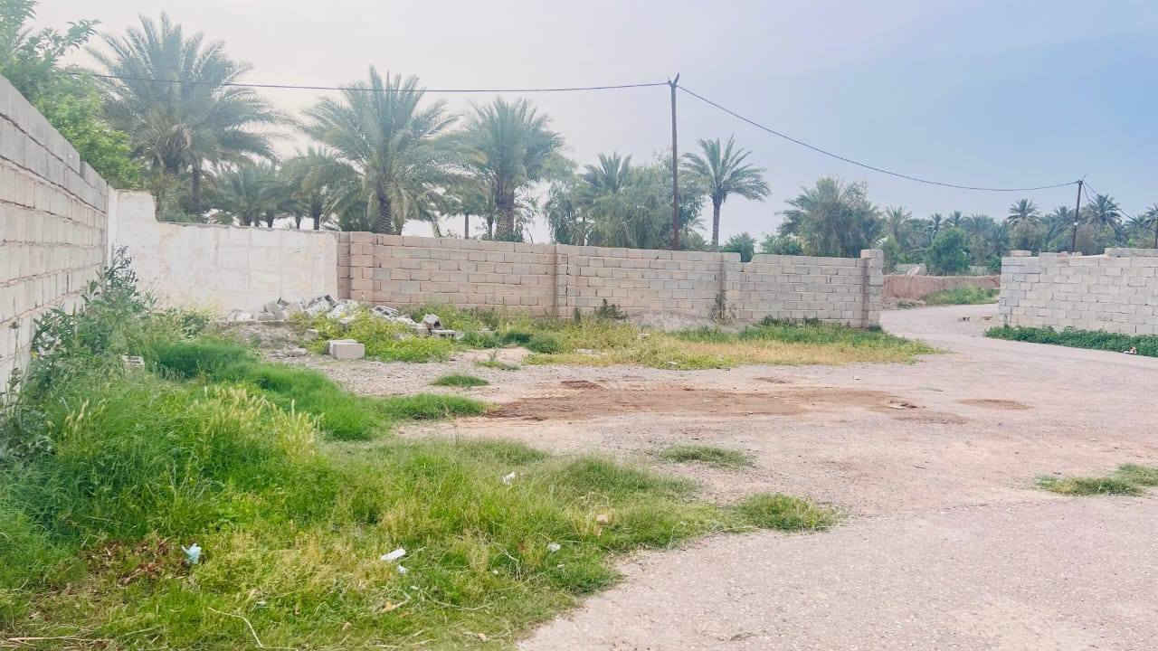 *🏡 بيت للبيع - ديالى / ناحية دلي عباس 🏡*

*المساحة والبناء:*  
- *المساحة الكلية 1700 متر 
- *مساحة البناء*: ٢٥٠ متر  
- *السند*: طابو زراعي سند ٢٥  

*تفاصيل البيت:*  
- غرفتين نوم  
- صالة  
- مطبخ  
- حمام  
- استقبال  

*مواصفات القطعة:*  
- مسيجة بالكامل  
- مشجرة حمضيات ورمان  
- خطين مياه: إسالة + بير غطاس  
- واكو قطعة بصفها مسيجة همين  

*الموقع:*  
- ديالى - ناحية دلي عباس  
- قرب الشارع العام، يبعد كيلو واحد فقط  
- تبليط لحد باب البيت  

*للسعر والاستفسار:*  
الأستاذ عماد الجبوري  
📞  ***********

---

بيت جاهز ومساحة أرض كبيرة مع بستان حمضيات ورمان، موقع عملي قريب عالشارع.
