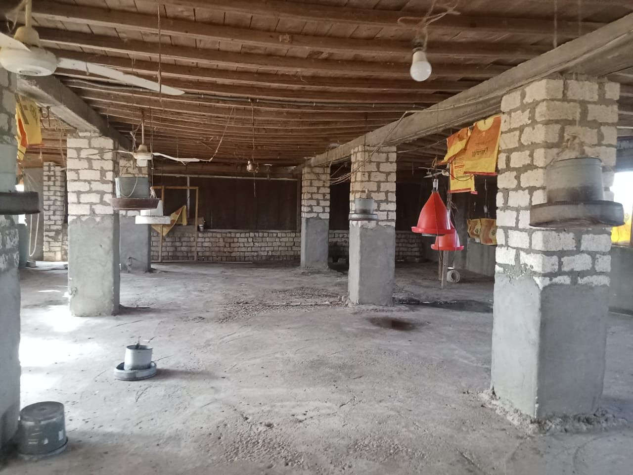 مزرعة الدواجن:
- مزرعة دواجن بيضاء للايجار
- مكيفه وجاهزه علي الشغل
- بتشيل 5000 كتكوت 🐤
- سطحها معزول بوتامين عازل
- مزودة ب:
- خلايا تبريد حديثة
- شفاطات تهوية قوية
- سقايات وعلافات متكاملة
- مياه شرب نظيفة وكهرباء متوفرة
- تحت إشراف دكتور متخصص في مجال الدواجن

للاستعلام اكتر.. 01033654723
01141388209


**إذا كنت صاحب هذا الإعلان وتريد حذفه لأي سبب، رجاءا أرسل رسالة إلى الدعم الفني**