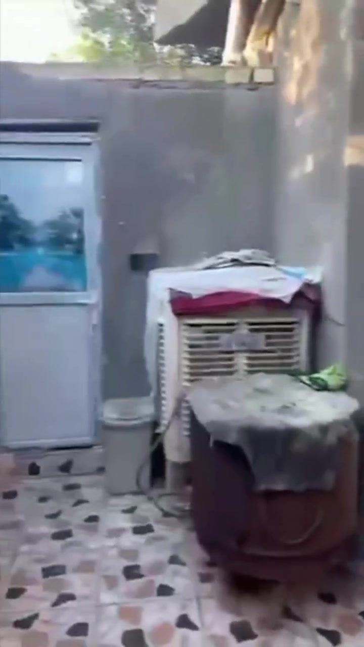 بيت طابق ونص الحر منطقة الرشديه ايجار250


**إذا كنت صاحب هذا الإعلان وتريد حذفه لأي سبب، رجاءا أرسل رسالة إلى الدعم الفني**