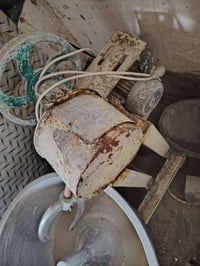 عجانه مالت عجين اصليه شرط عل فحص   سعرهاا /550  وبيها مجال قليل   للات...