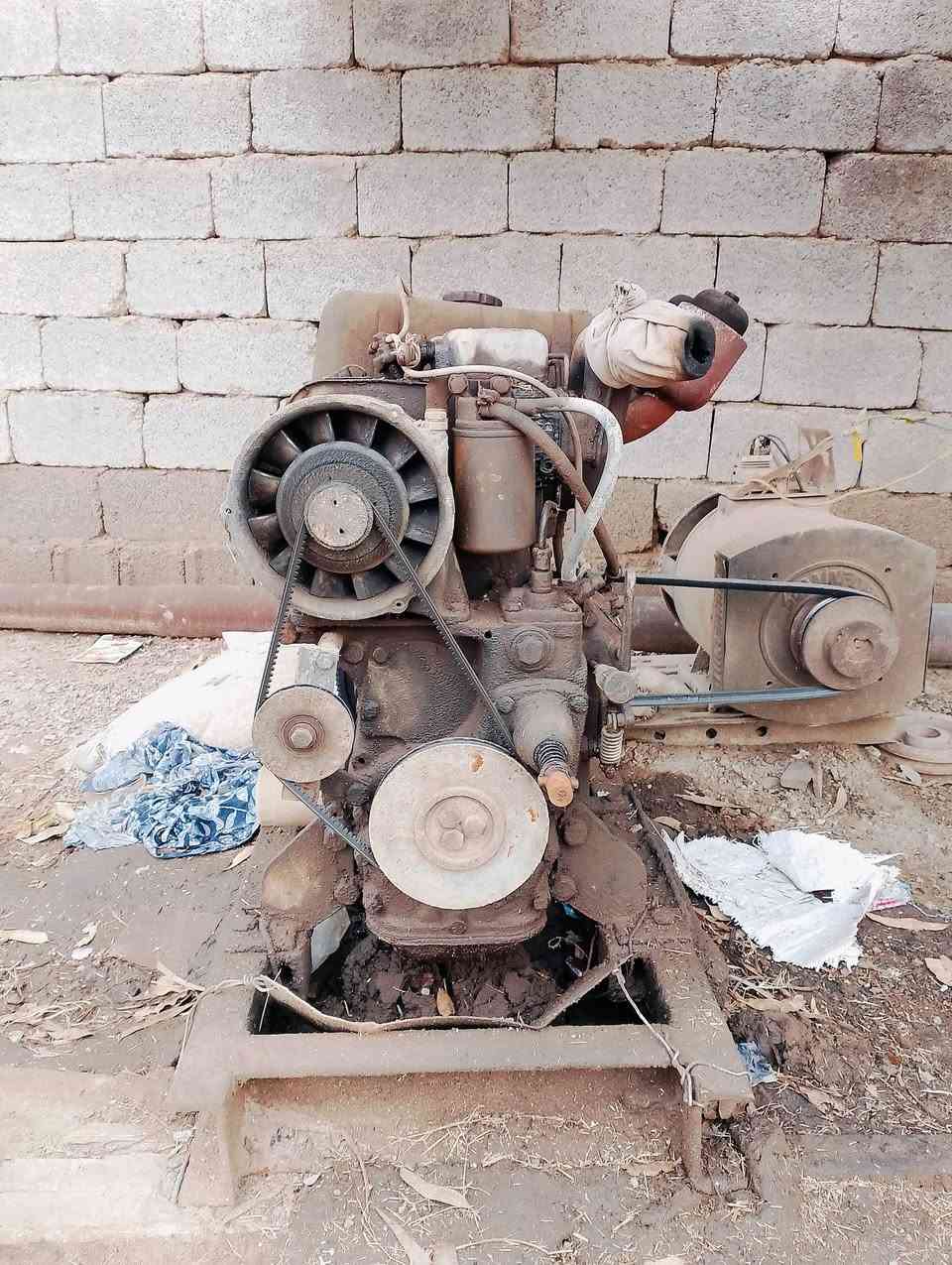 سلام عليكم مولد للبيع معالخنزيرة ***********
