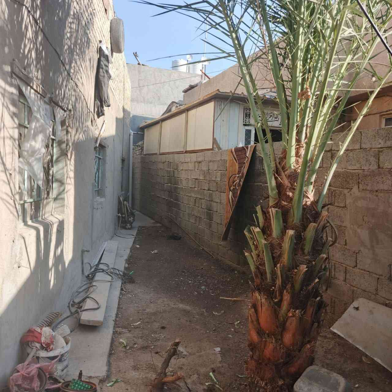 دار طابو زراعي سند 25 للبيع المساحه 320 م مع كراج كبير الموقع بجانب منطقه ابو دشير مقابل علوة الرشيد يحتوي علئ اربع غرف نوم واستقبال ضيوف كبير طوله 8امتار ومطبخ وحولي وكافه الخدمات علماً ان المنطقة تحتوي علئ مجاري وكهرباء عرض الفرع 10 امتار للاستفسار الاتصال على الرقم ***********.
