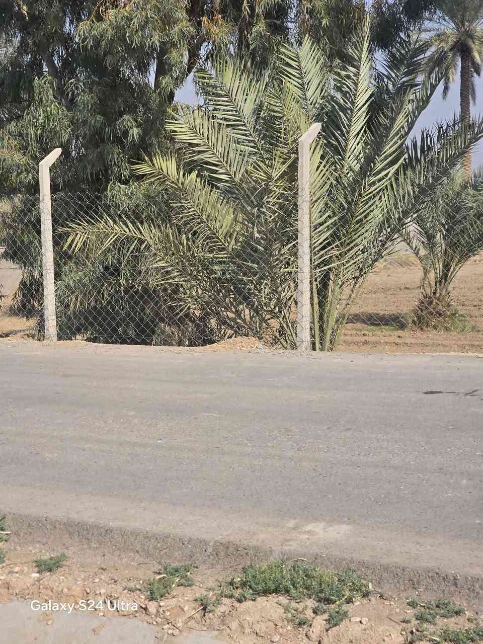 على بركه الله
 قطعه للبيع مساحه 1100 متر 
جميع الخدمات يتوفر كهرباء  اسأله خط مولده
 القطعه مسيجه بالكامل
 السند 25 باسمي
العنوان طريق حله نجف
 خلف جامعه بابل
 تبعد عن  شارع 60 متر
***********

