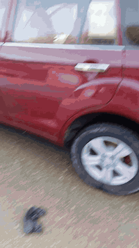 سياره ليفان x60 موديل 16  للبيع ساره كامله كل نقص مايها مصبوغه احزام للجماليه السعر 56 وبيها مجال قليل كير اوتو بلادي  المكان ناصريه رقم التلفون *********** الشراي يدلل
