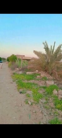 الاصلاح • ٦٠٠م • زراعي