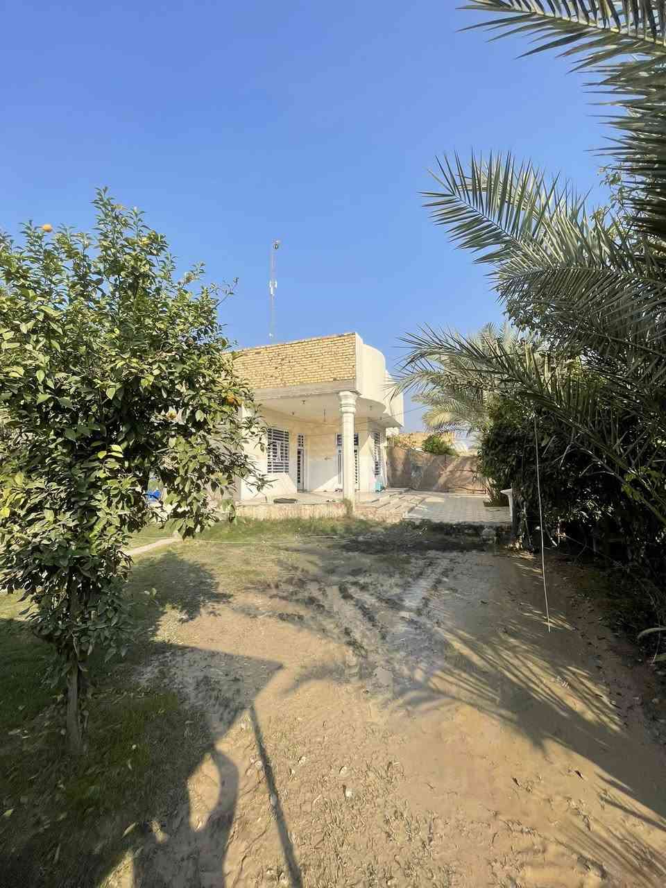 السلام عليكم بيت بناء حديث كامل  للبيع المساحة الكلية 650م  الحديقة 350م ومساحة البيت 300 البيع حسب رغبة المشتري يريد البيت مع الحديقة او فقط البيت المكان حلة حي جميلة بيت ابو ملاك  ***********
