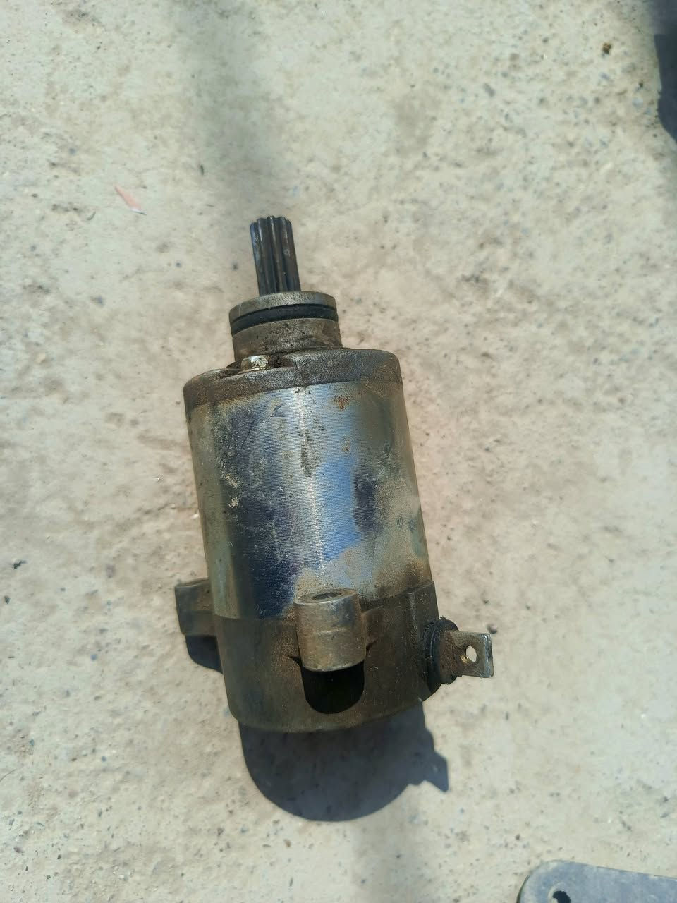 للبيع
سلف ادرس قديم 
ويل 
وسوادات 
الشراي خاص


**إذا كنت صاحب هذا الإعلان وتريد حذفه لأي سبب، رجاءا أرسل رسالة إلى الدعم الفني**