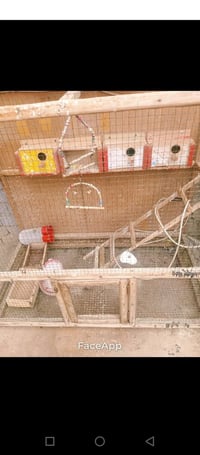 قفص طيور • طيور حب • سبع البور