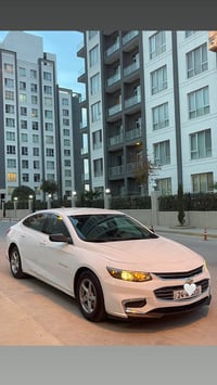 ماليبو ٢٠١٧ • بدون صبغ • يد واحدة