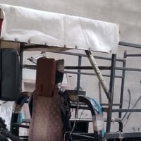 جنج للبيع سعر 75 الشراي يتصل 07805246002