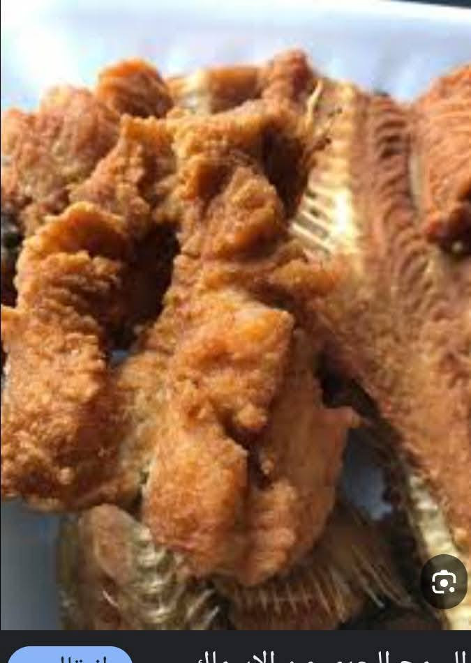 اسماك قرش الجامعة
 جملة    /   مفرد
 سمك شط اسود بدون شوي  5000   وزن اربعة فما فوق
سمك شط اسود شوي  8000

جري قلي وبدون قلي
زوري قلي وبدون قلي
شانك قلي وبدون قلي
زبيدي مقلي وبدون قلي
سلطان ابراهيم قلي وبدون قلي
 البيع جملة  /  مفرد
 الاتصال  /***********
***********
العنوان حي الجامعة شارع الربيع مقابل حلويات الراقي او انسب الاسعار
ملاحظة /اوقات العمل من الساعة ٩ صباحا
لغاية    ٥ عصرا
يتوفر لدينا توصيل حسب المناطق
