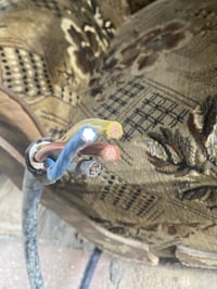 كيبل مسلح • ١٢م • بابل