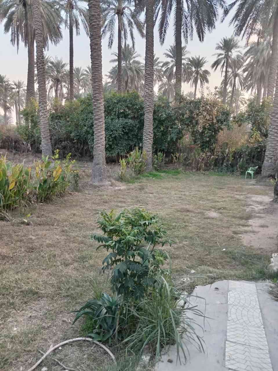 السلام عليكم نص دونم طابو صرف مع بيت 3 غرف نوم واستقبال ومطبخ وصحيات داخليه وخارجيه للبيع العنوان المدائن قرب شارع سيد علي مخدوم بلكامل مي وكهرباء وتبليط يبعد عن الشارع 100 متر وجه الأرض 38 ونزال 36  للأستفسار***********@
