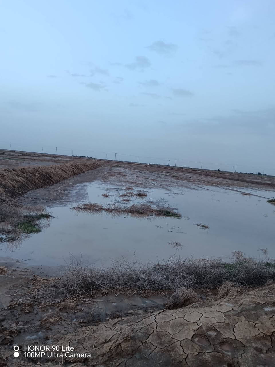 السلام عليكم
أرض زراعيه للبيع ( ٦ دوانم )
قريبه ع الشارع وقريب عليه الماء
وخطين كهرباء
للاستفسار
***********
