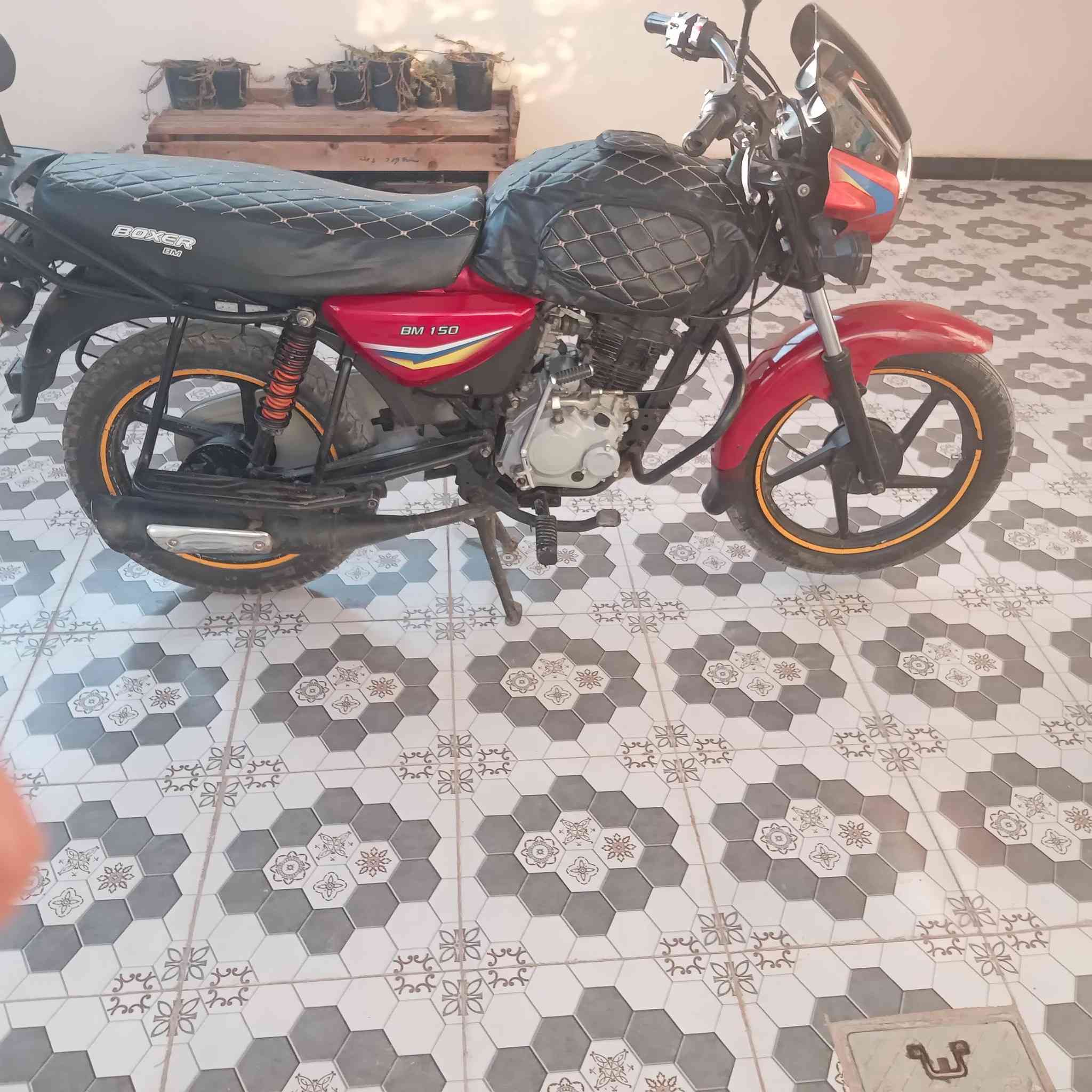 يا الله دراجه بوكسر كلاسيك البيع موديل ١٩ أوراق اصولي شرط الترقيم محرك ابلدي مامفتوح الله شاهد مابي اي نقص السعر مناسب او مستعجل علا البيعه المكان اديالى تقاطع الوجهيه التصال علا الرقم ***********
