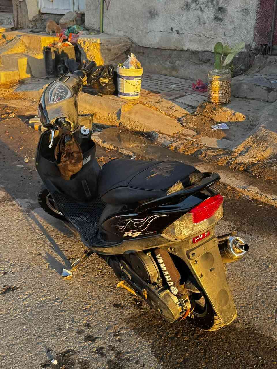 السلام عليكم 
ماكس عدلة للبيع …
موديل 2007 ما مفتوحة بوشة 49 
تزويد : ويل نجمة أصلي ، صالنصة Gaiyue
مختمة ختم واحد ويا المكينة 
السعر 950 وبيها مجال حك الجية 
رقمي ***********
