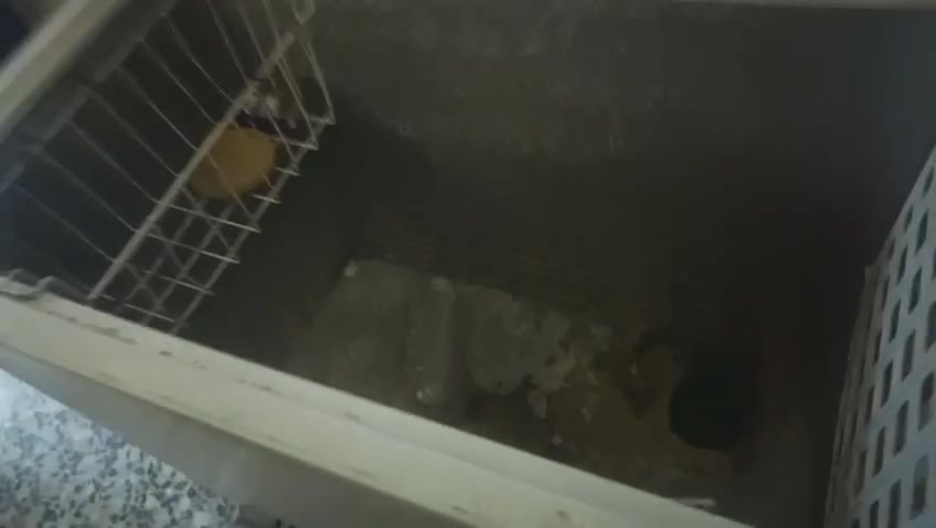 لبيع اسعار مناسبه بغداد لامين بسكينه


**إذا كنت صاحب هذا الإعلان وتريد حذفه لأي سبب، رجاءا أرسل رسالة إلى الدعم الفني**