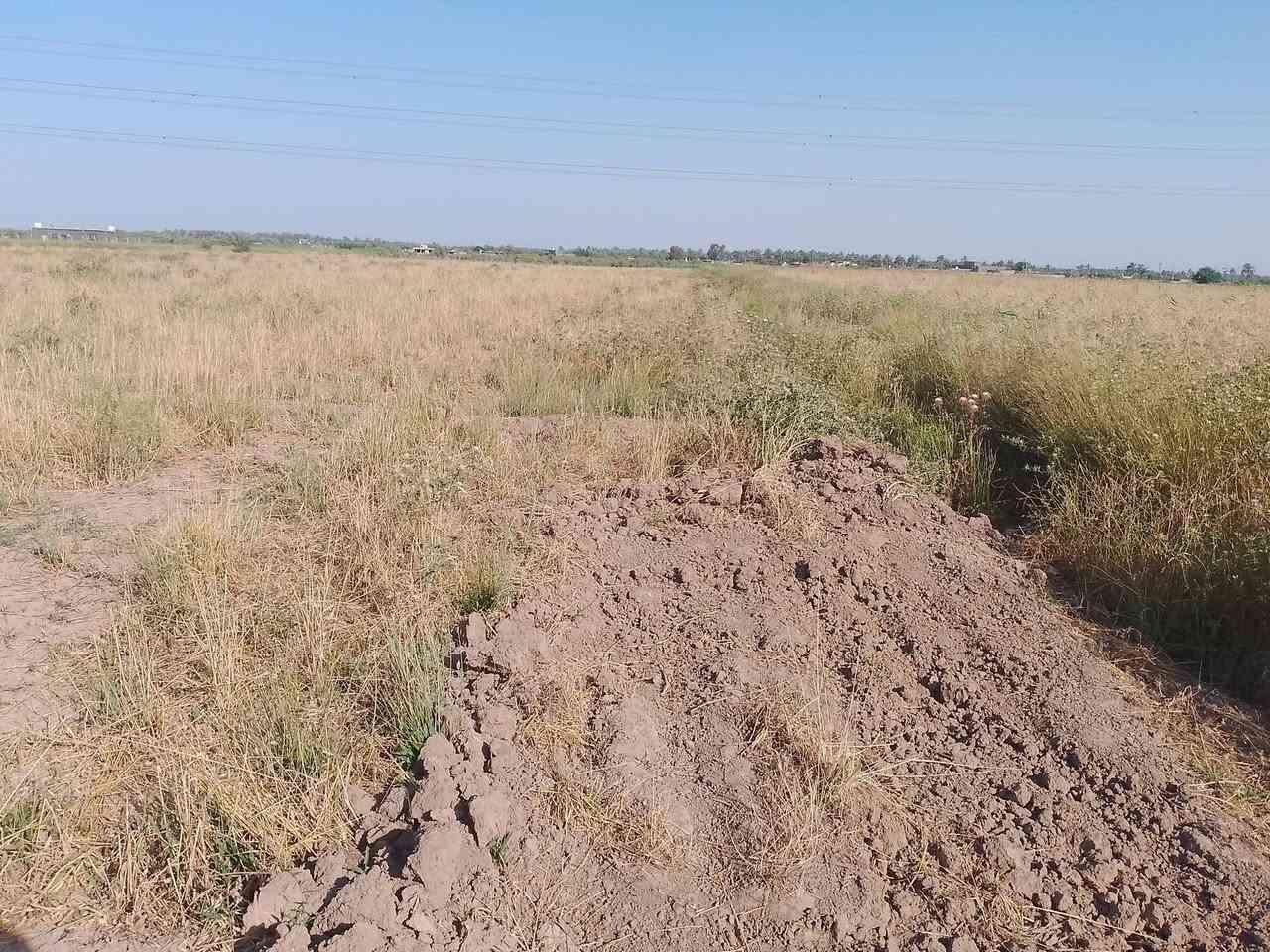 السلام عليكم ارض طابو زراعي سند 25تحويل مباشر المساحه 4دونم ارض صالحه للزراعه متوفر مي سقي وكهرباء ومدارس للاستفسار ***********
