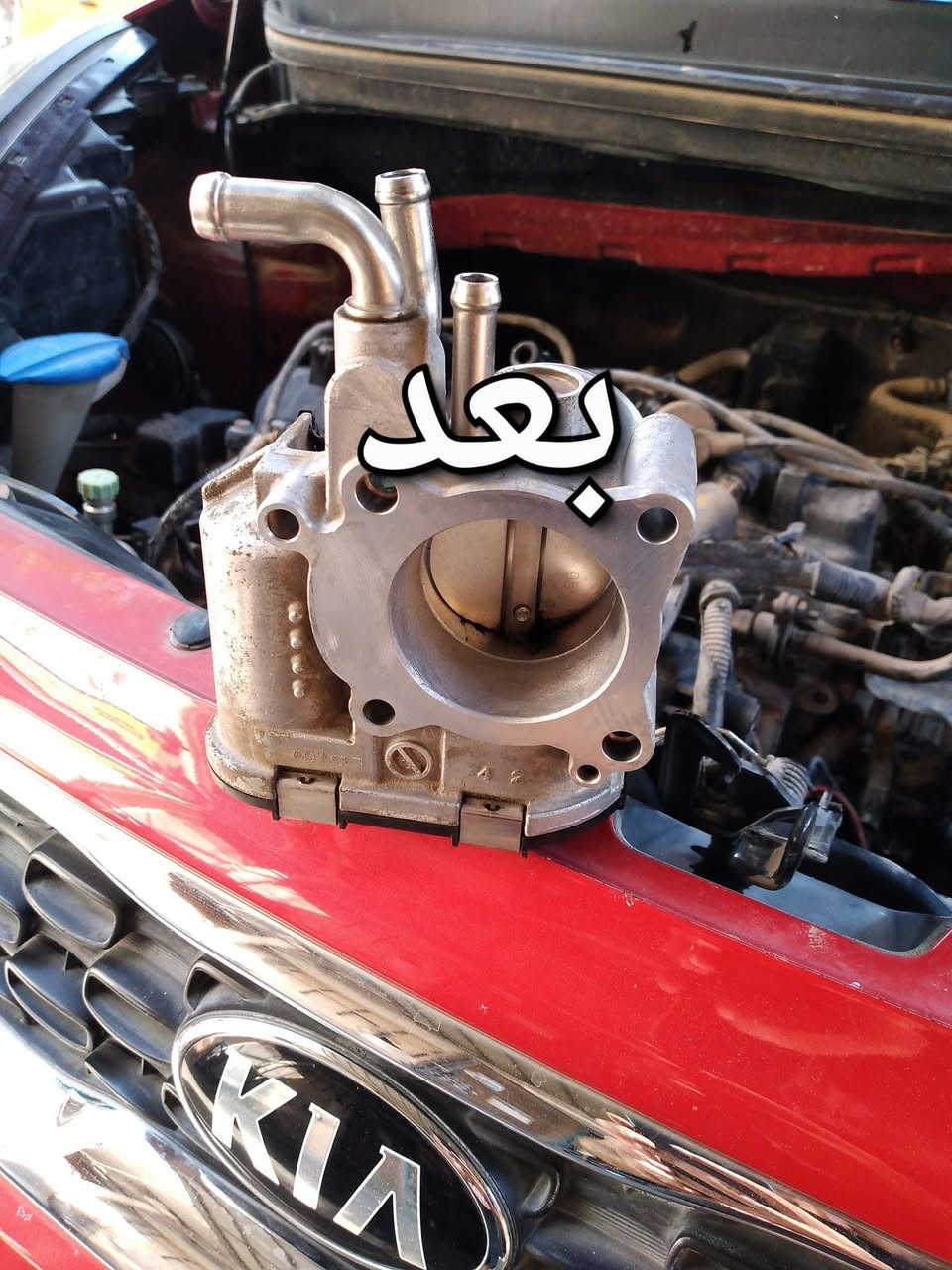 اتقان العمل والابداع فيه هوسر نجاحنا المتواصل
#خدمات #انمار #للصيانه #السيارات 🚘🚘
اليوم اجتنه كيا بيكانتو محرك غير مستقر
1-تبديل بلكات
2-تنظيف نوزلات
3-تنظيف جويتر
4-تنظيف حساس vvt
5-تبديل فلتر شوته
6-تبديل زيت المحرك
7-فحص شامل لسياره 
للاستفسار #***********☎️☎️☎️
#الموقع الصليخ الجديد قبل جوازات القاهره 
#مقابيل مجمع القاهره التجاري anmar
