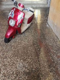 بوليسي بوشه 55 • كهربايات شغاله • كفرات بلاديه