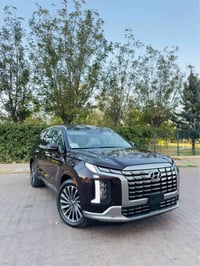 پالاسايد • ٢٠٢٥ • حادث اربيل