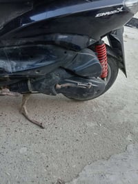 سكنس ياباني • سرعة ١١٠ • أوراق كامله