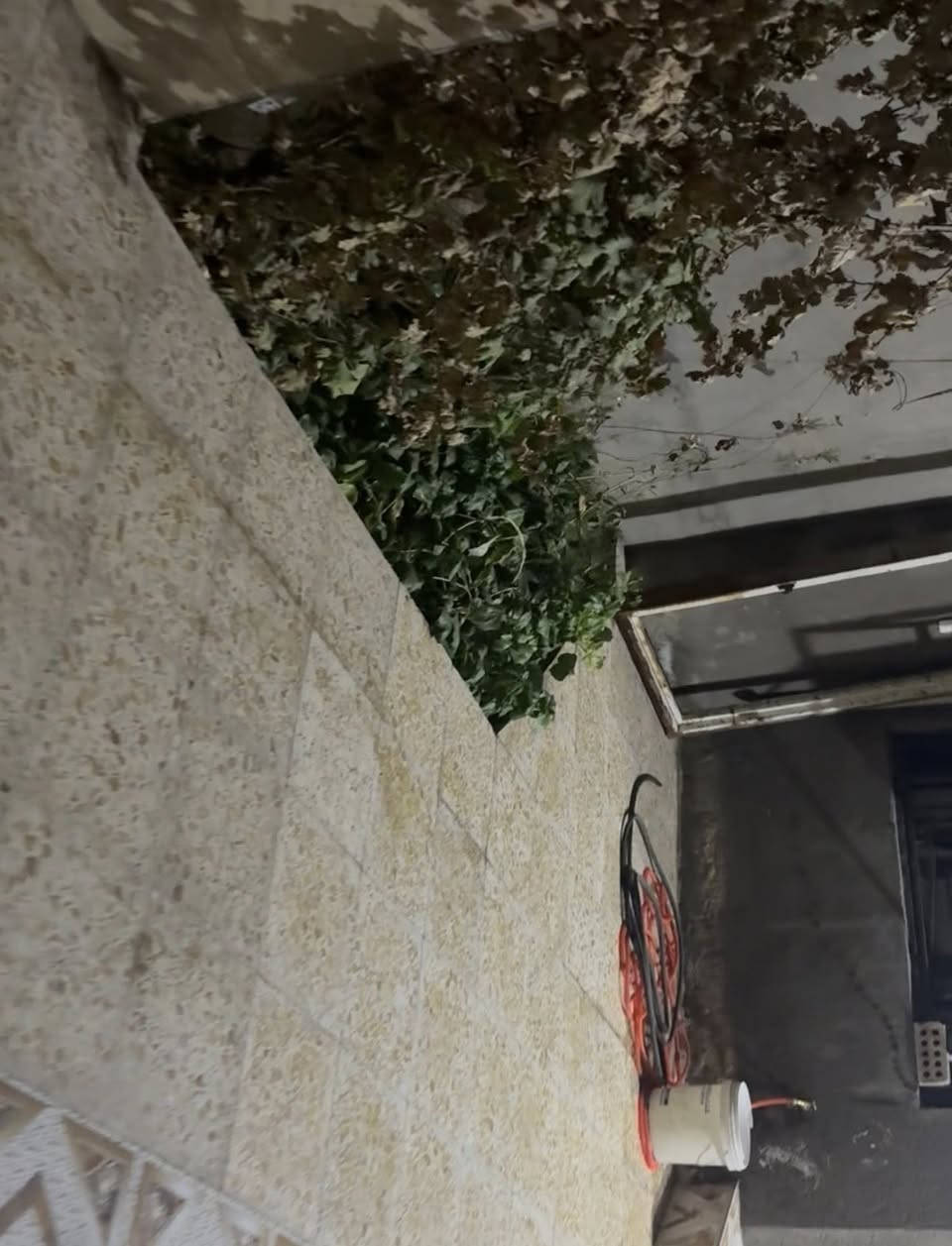 السلام عليكم بيت للبيع حي السفير قرب ابو علي المضمد فرع الاسكله مالت راشد الي قبل شارع 20المساحه 125طابق واحد بناء 2024كامل غرفه وحولي وصاله ومطبخ وملحقات داخل وخارج البيت جديد ومناقصه اي شي


**إذا كنت صاحب هذا الإعلان وتريد حذفه لأي سبب، رجاءا أرسل رسالة إلى الدعم الفني**