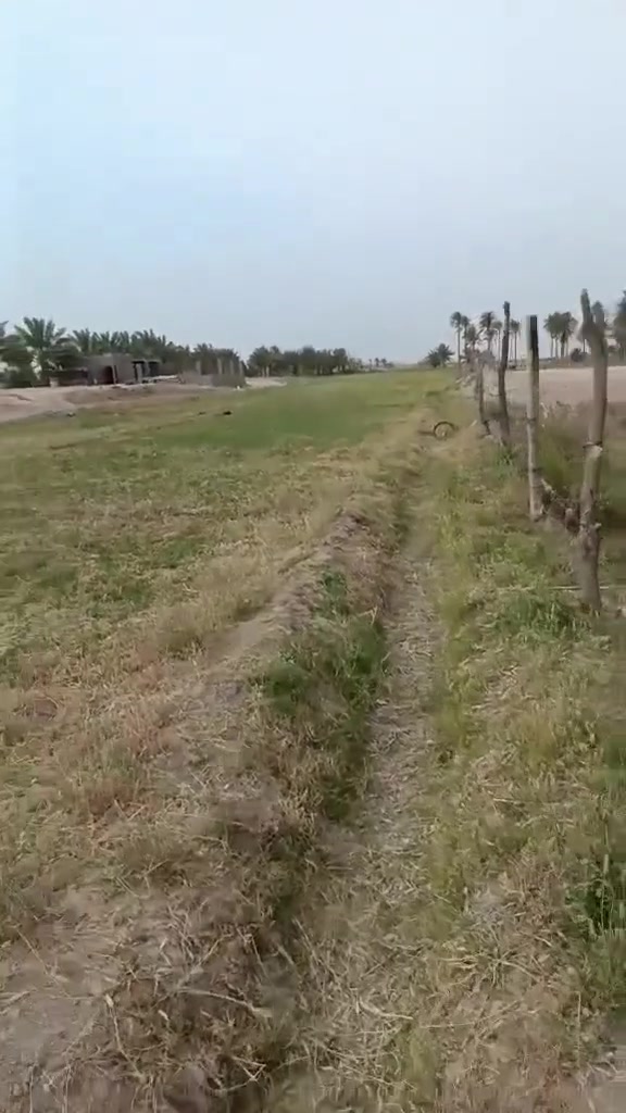 السلام عليكم
اعادة نشر بسبب الوعود الكاذبة. 

قطعة ارض زراعية مساحتها 17 دونم طابو زراعي سند 25 
ارض والدي الحاج ديوان محمود علما الارض جاهزة للزراعة وتسقى سيحا وعليها طريق يصل الى نهايتها. 
الكرمة اللهيب ✅✅✅✅✅✅✅👉👉👉👉
على من يرغب بالشراء الاتصال على الرقم الخاص. 

‏‪***********‬‏ رائد ابو سيف  ابن الشيخ والحاج ديوان.

رجاء المايشتري لا يتصل. ولا يعطي رأيه. 👉👉👉
