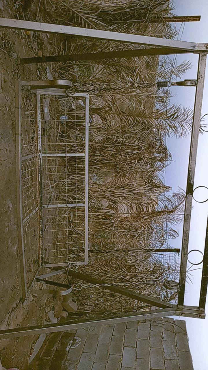 تخم.  10مقاعد


**إذا كنت صاحب هذا الإعلان وتريد حذفه لأي سبب، رجاءا أرسل رسالة إلى الدعم الفني**