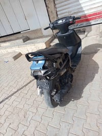 فراشه • نثية • كهربايات
