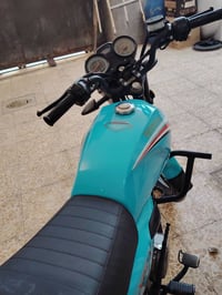 شايني • موديل 23 • أوراق أصلية