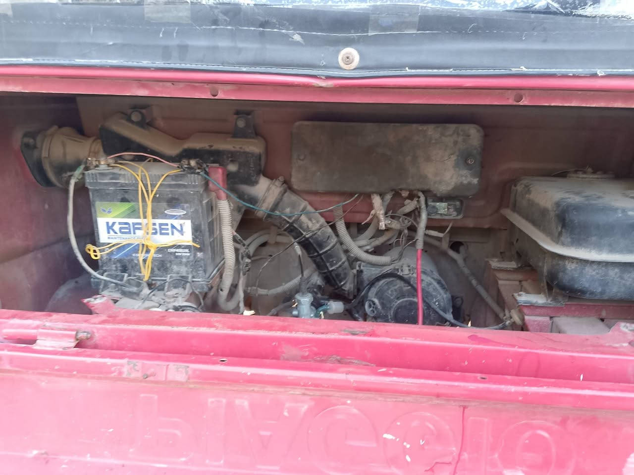 تفاصيل بل صور
