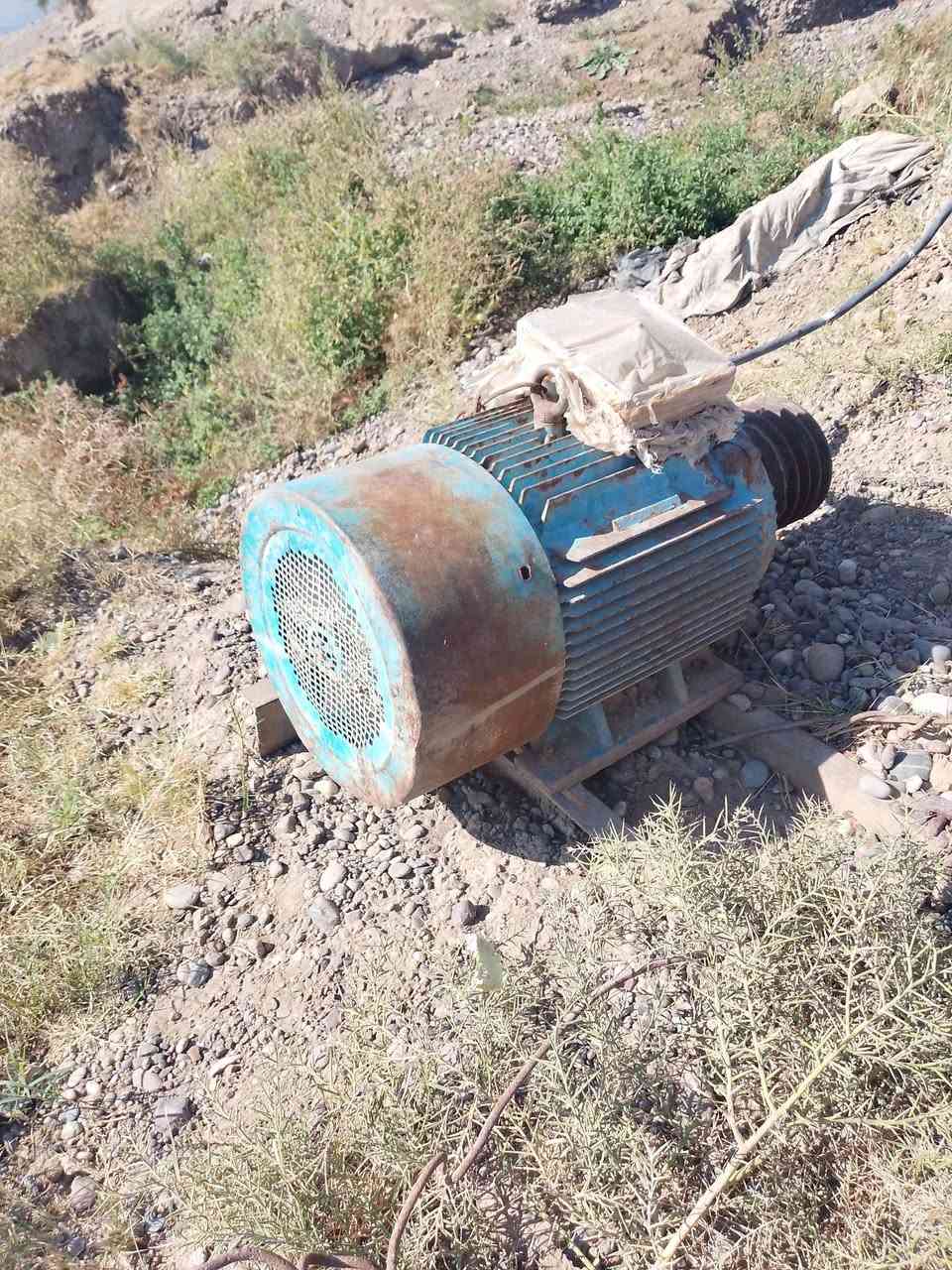 دينمه البيع اربعين حصان معاه خنزيرته الاتصال عله هاذه رقم ***********
