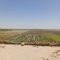 ٢٥دونم • عالشط • اسالة وكهرباء